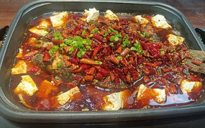 想学炭火锅烤鱼技术哪里有？