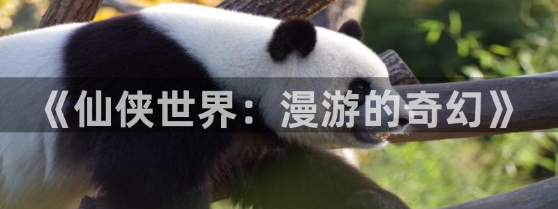 包子漫画无广告下载：《仙侠世界：漫游的奇幻》