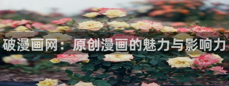 包子漫画免费版：破漫画网：原创漫画的魅力与影响力