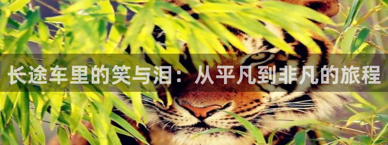 包子漫画最新：长途车里的笑与泪：从平凡到非凡的旅程